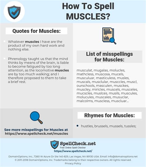 muscle en anglais|how do you spell muscles.